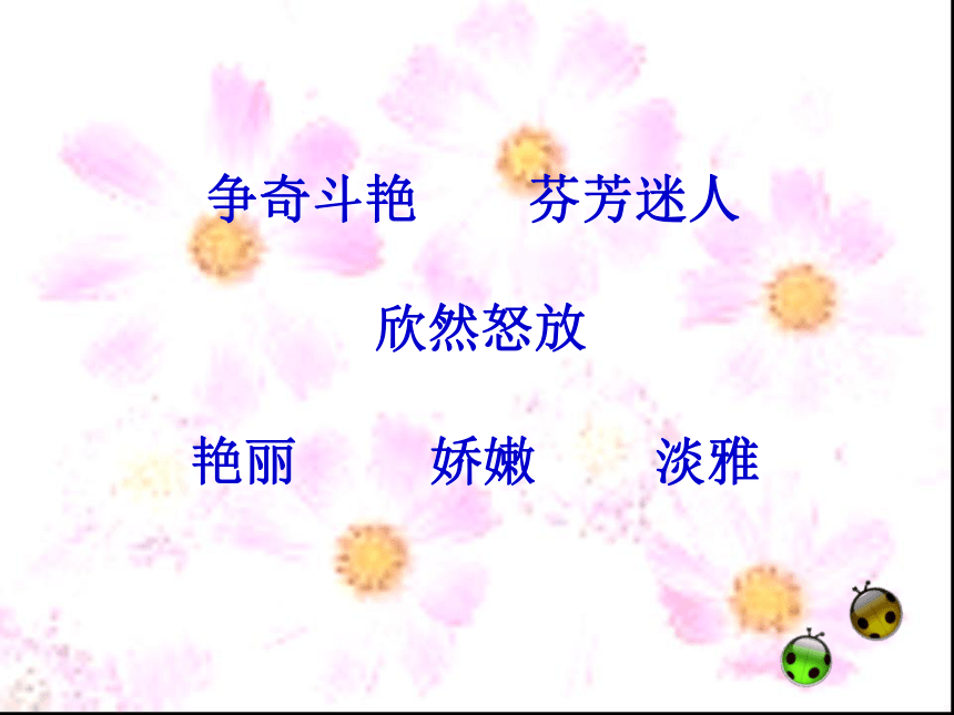 13 花钟课件3