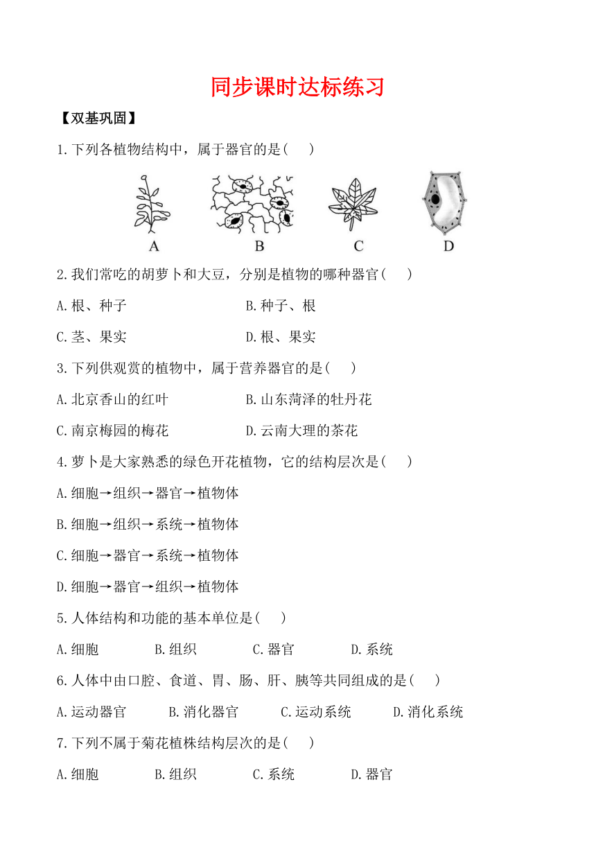 第三节 多细胞生物体的结构层次 同步课时达标练习（解析版）