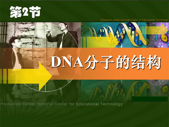 人教版高中生物必修二第3章第2节 《 DNA分子的结构》课件共29张PPT