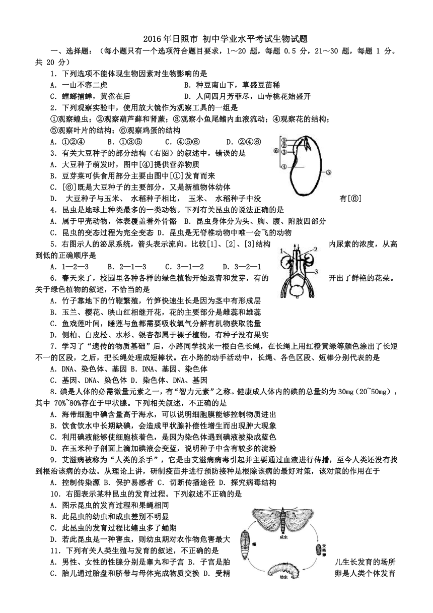 2016年日照市初中学业水平考试生物试题（word版，含答案）