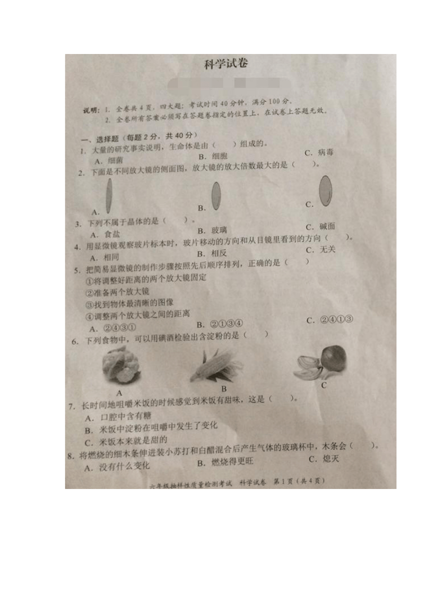 2017年广东省深圳市罗湖区六年级下学期期末调考科学试卷（图片版）