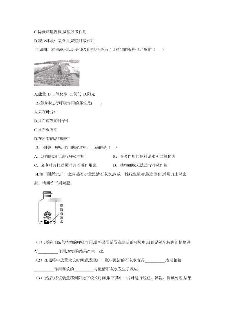 3.5.2 呼吸作用 课时作业（含解析）