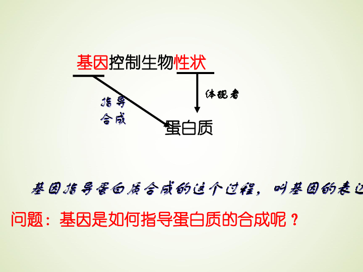 人教版高中生物必修二 4.1 基因指导蛋白质的合成课件共66张PPT