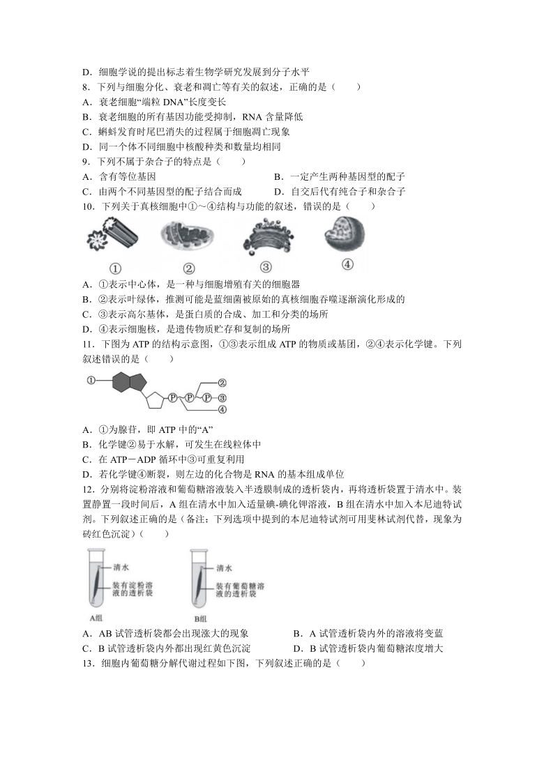 浙江省“精诚联盟”2021-2022学年高二上学期返校考试生物试题（Word版含答案）