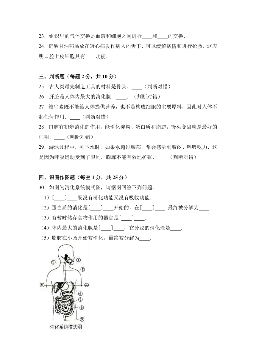 甘肃省庆阳市正宁三中初中部2016-2017学年七年级（下）期中生物试卷（解析版）