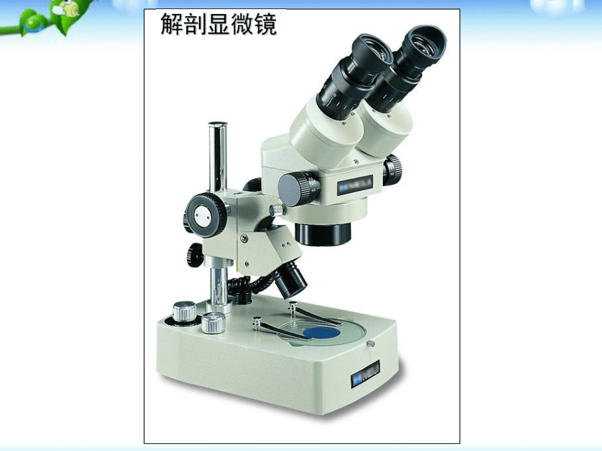 2.1.1 练习使用显微镜  课件（42张PPT）