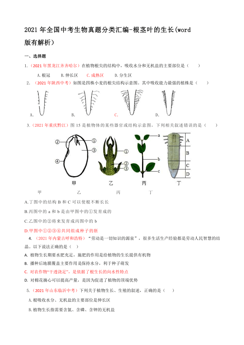 2021年全国中考生物真题分类汇编-根茎叶的生长(word版有解析）