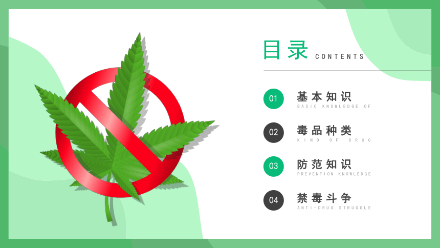 珍爱生命，远离毒品 课件（共21张PPT）