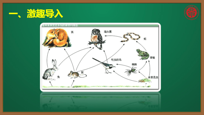 初中生物复习知识点精讲课件13食物链和食物网