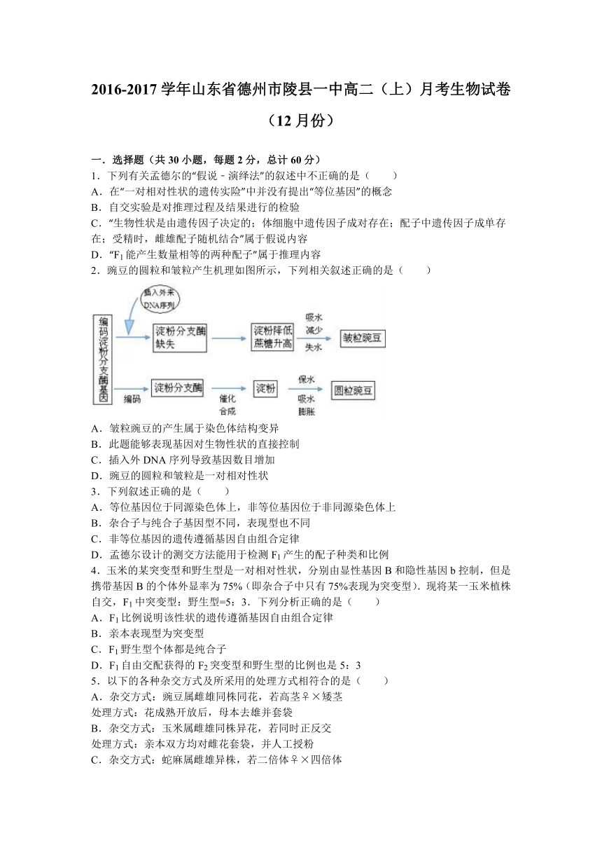 山东省德州市陵县一中2016-2017学年高二（上）月考生物试卷（12月份）（解析版）