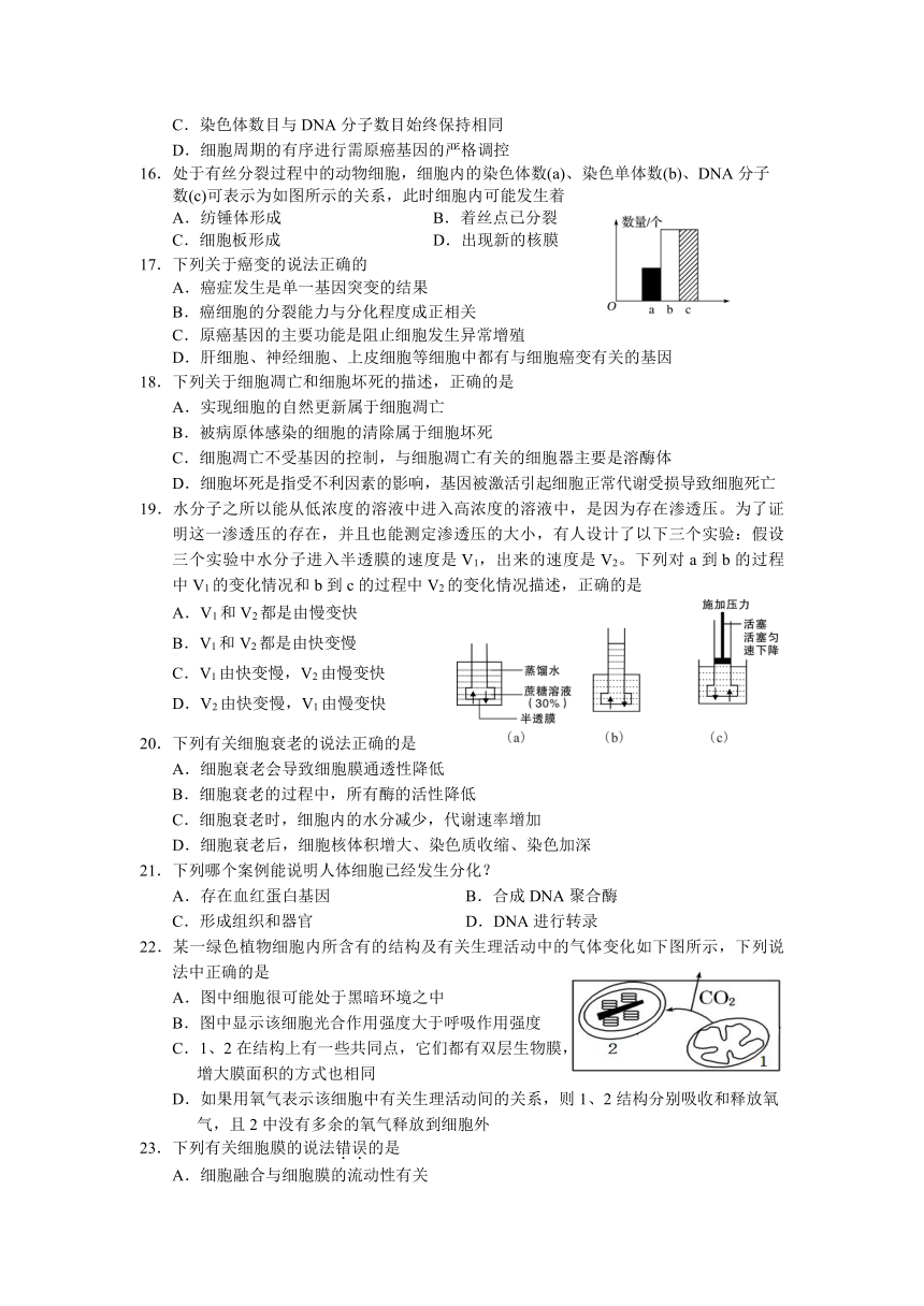 广东省中山市2016-2017学年高二下学期期末统一考试生物试题