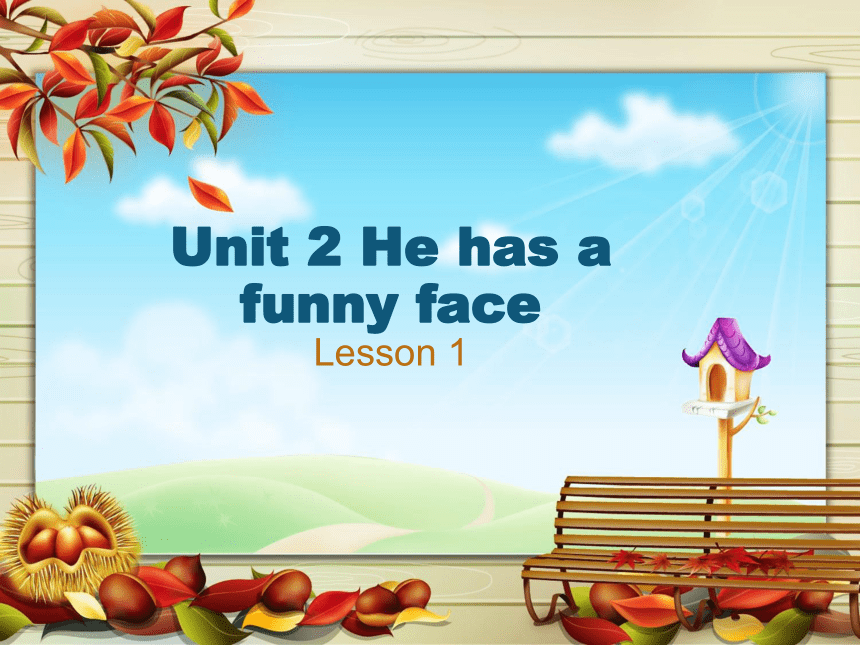 Unit 2 He has a funny face Lesson 1 课件