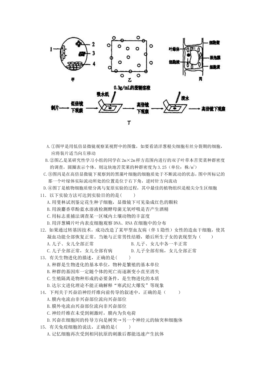 广东省陆丰市碣石中学2012-2013学年高二下学期第一次月考生物试题