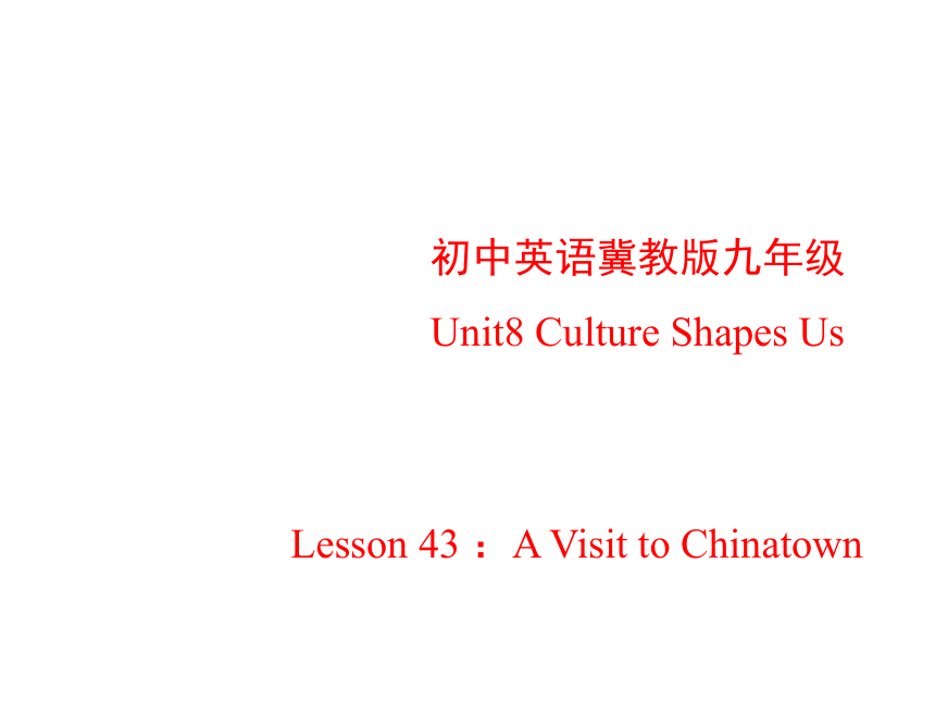 Unit 8 Culture Shapes Us.Lesson 43 A Visit to Chinatown.课件
