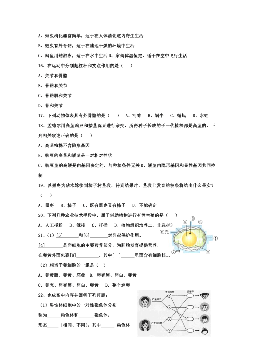 辽宁省丹东七中2016-2017学年八年级下学期期中考试生物试卷