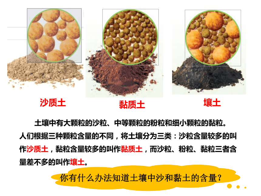 壤土和粘土区别图片