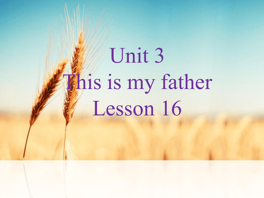 Unit 3 This is my father Lesson 16 课件