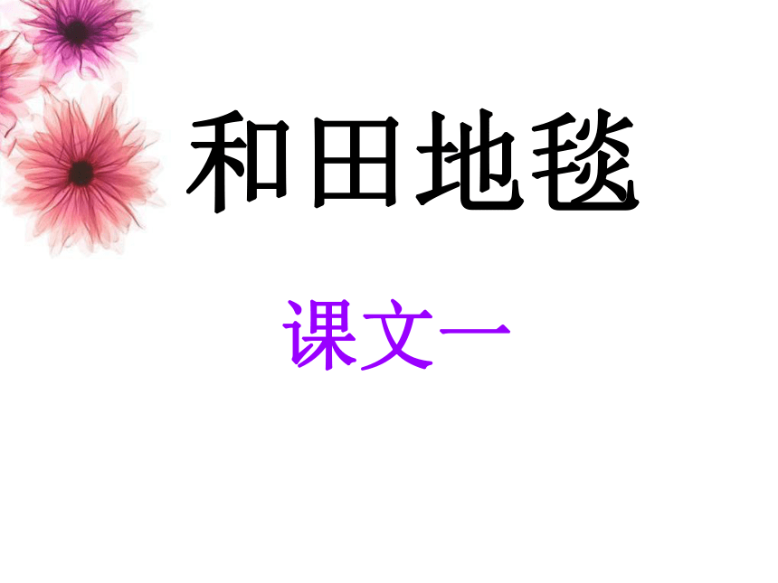 语文六年级下新教版（汉语）3《和田地毯》课件（18张）