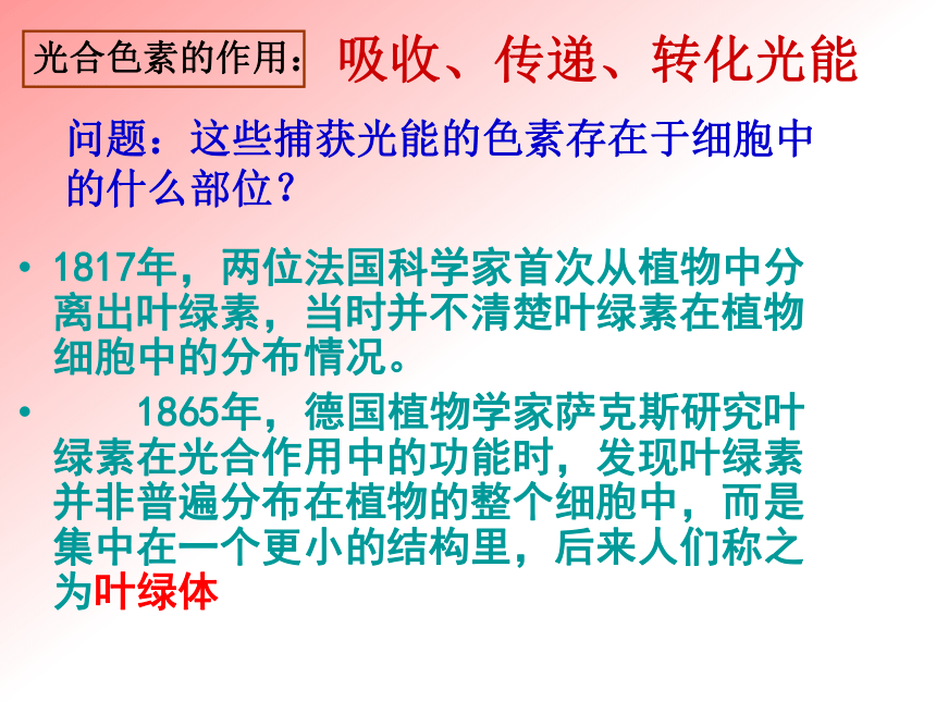 2021—2022学年 高一上学期 人教版  必修1  第4节 能量之源——光与光合作用  课件（54张PPT）