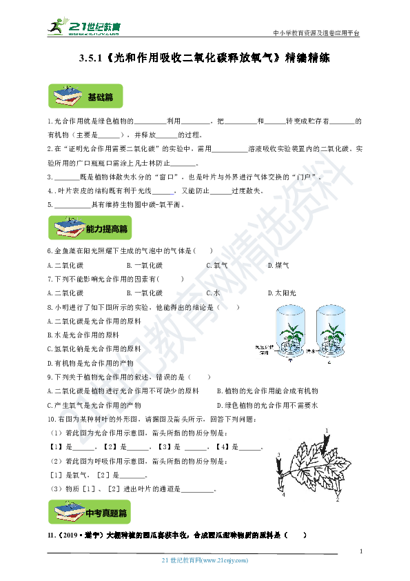 3.5.1《光和作用吸收二氧化碳释放氧气》精编精炼