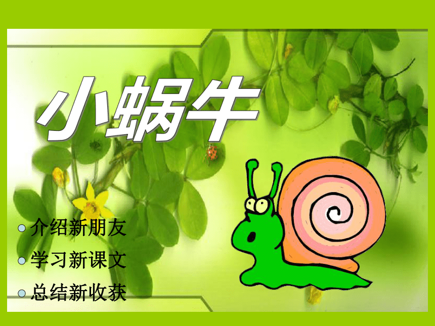 14 小蜗牛 课件 (1)