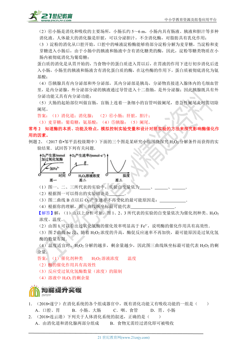 浙教版科学九上 4.2 食物的消化与吸收 创优同步学案