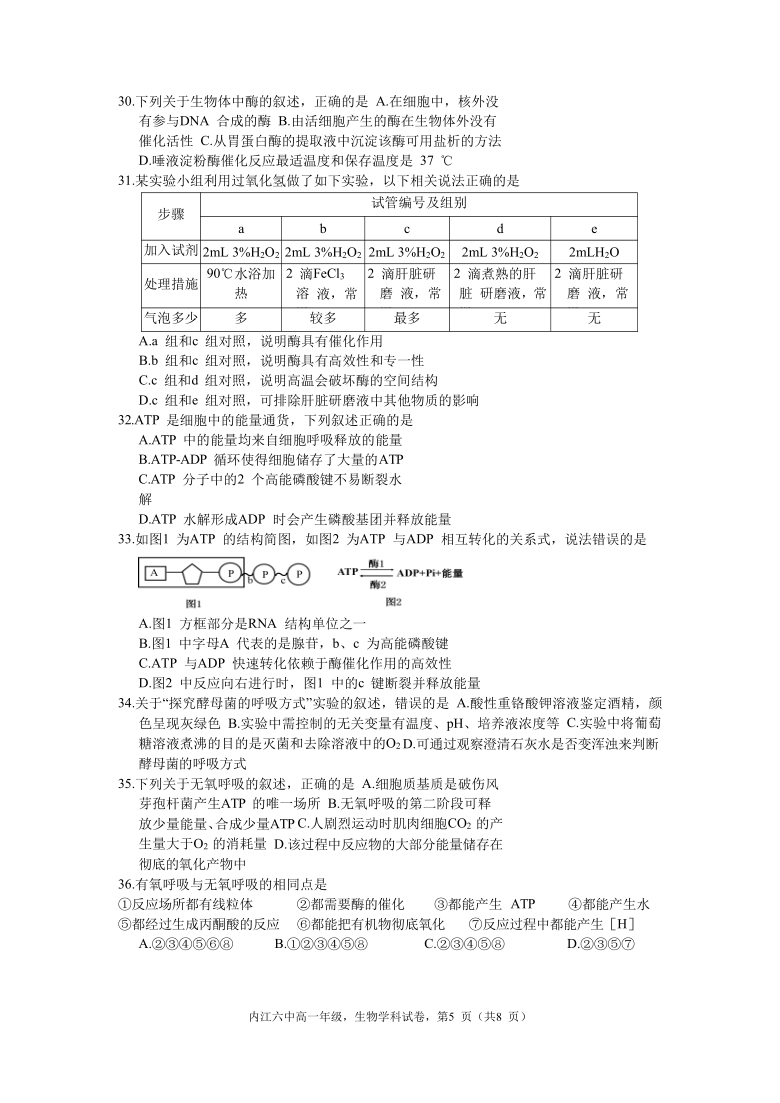 四川省内江市第六中学2020-2021学年高一上学期1月月考生物试卷     含答案