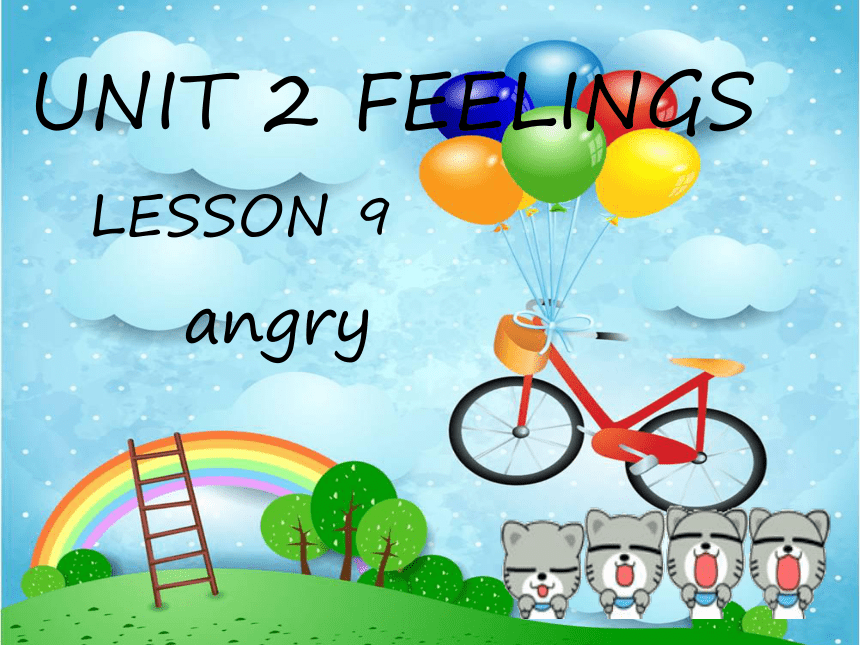 Unit 2 Feelings Lesson 9 课件