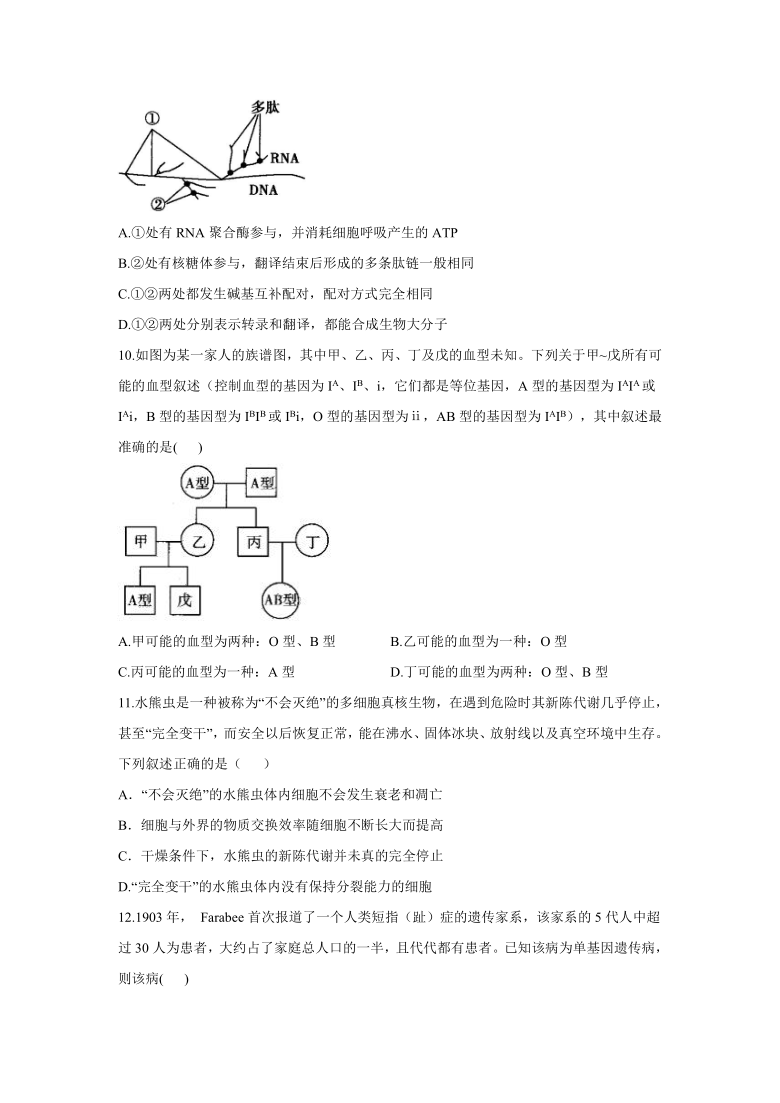 重庆市重点中学2020-2021学年高三下学期开学考试生物试题（新高考）含解析