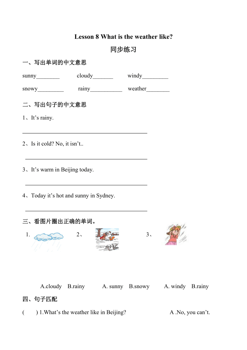 Lesson 8 What is the weather like? 同步练习（含答案）