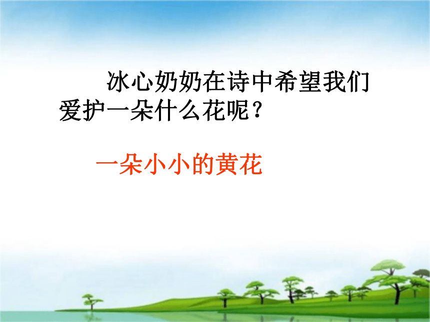 《别踩了这朵花》课件(共22张PPT)