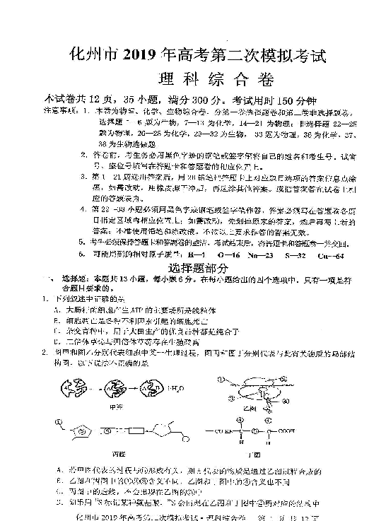 广东省化州市2019届高三上学期第二次模拟考试理科综合试题 扫描版含答案