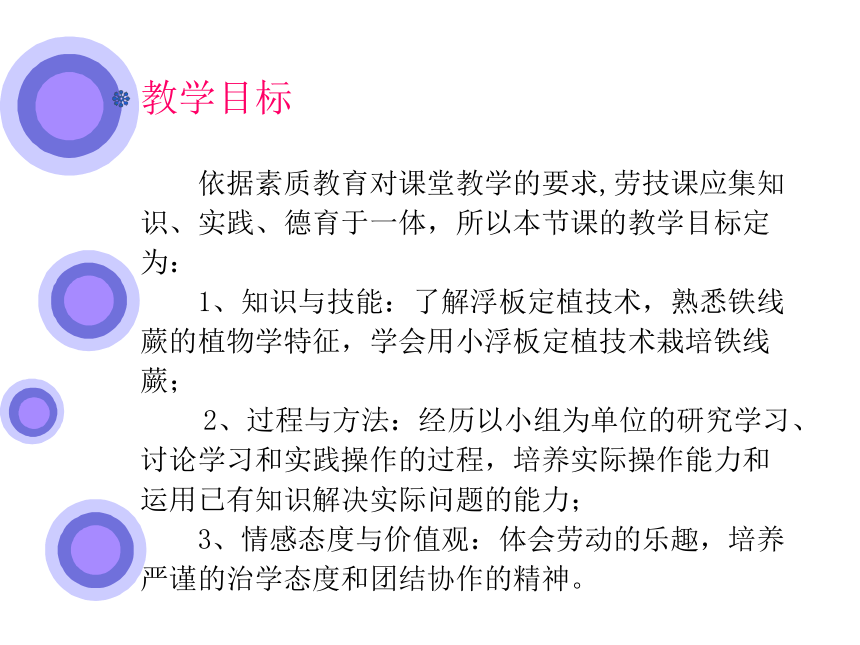 铁线蕨的浮板定植