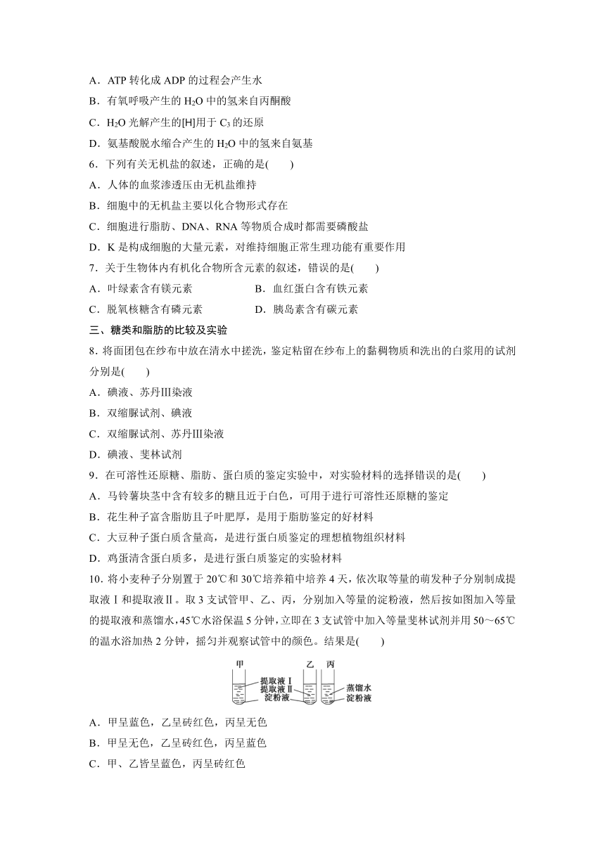 寒假專題突破練 高一生物(通用版)專題三 糖類,脂質,水和無機鹽的種類