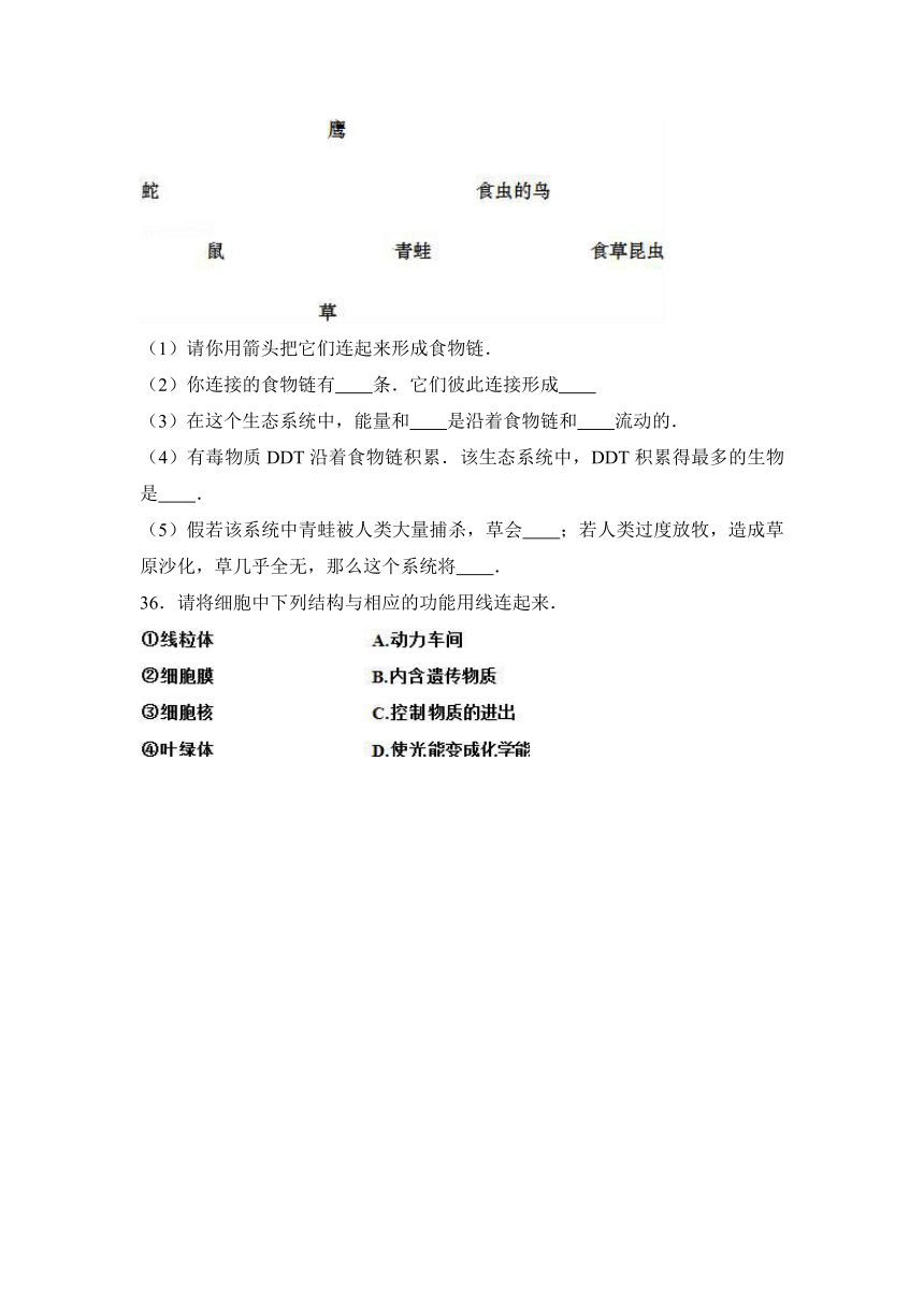 贵州省毕节市七星关区亮岩中学2016-2017学年七年级（上）期中生物试卷（解析版）