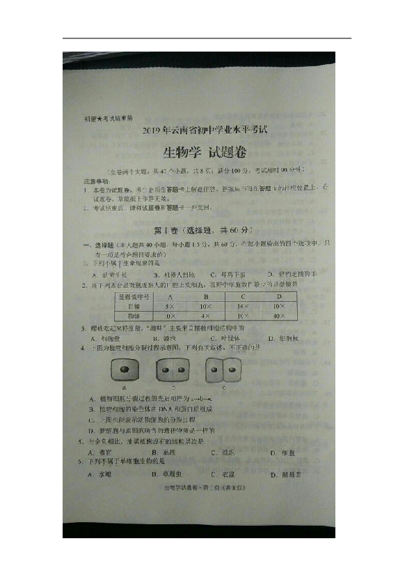 2019年云南省中考生物试题（图片版含答案）