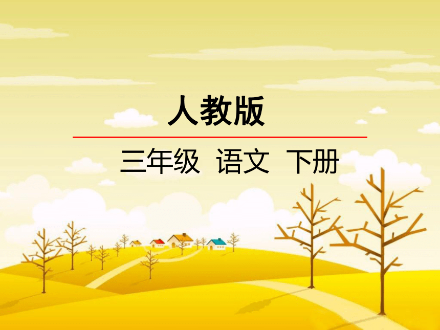 第3课 荷花 课件