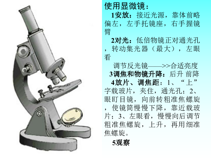 显微镜对光步骤图片