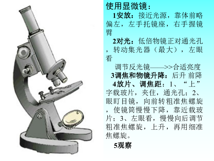 七上生物书显微镜图片图片