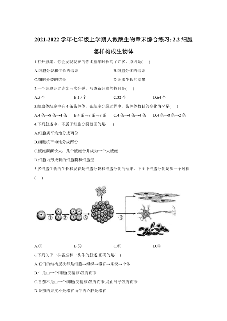 2.2细胞怎样构成生物体 章末综合练习(word版含解析） 2021-2022学年人教版七年级上册生物