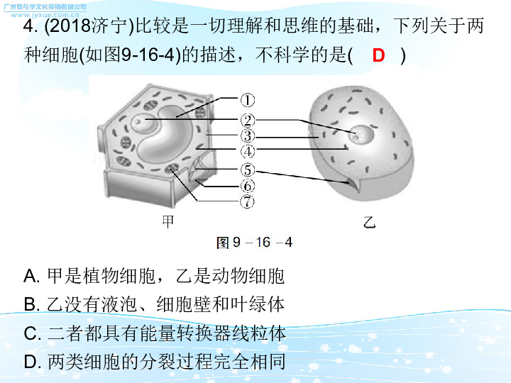 2019中考生物总复习课件：（人教版）第九单元专题十六图表专题课件（36张PPT）