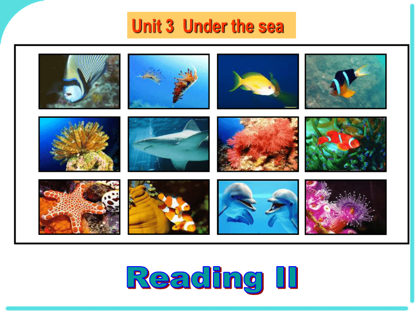 Unit 3 Under the sea Using Language II 课件（37张）