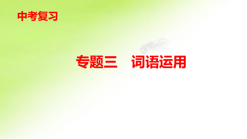 专题三　词语运用 课件——重庆市2021年中考语文复习（122张PPT）