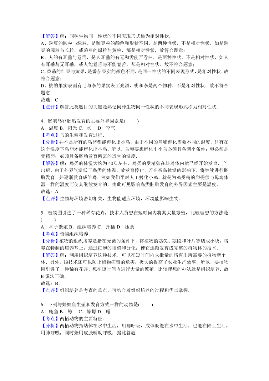 江西省宜春市丰城中学2016届九年级上学期期中生物试卷【解析版】