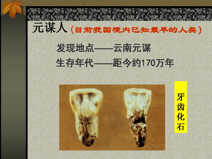 初中 历史 北师大版 七年级上册 第一单元 中华文明的起源 第1课 中华