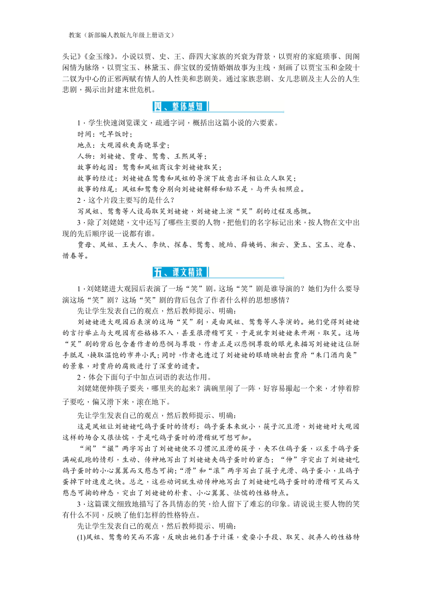 24 刘姥姥进大观园  教案（新部编版九年级上册语文）