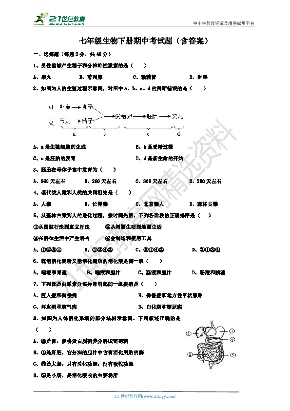 七年级生物下册期中考试题（含答案）