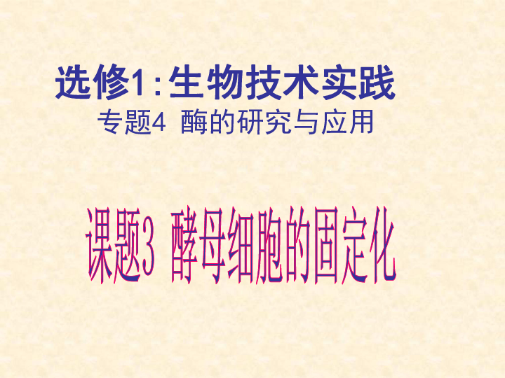 人教版高中生物选修一课件：4.3《酵母菌细胞的固定化》(共53张PPT)