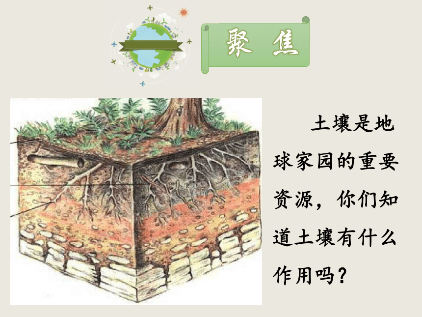 1.2土壤——动植物的乐园  课件（8张PPT）