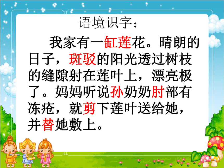 莲叶青青  课件(共42张PPT)